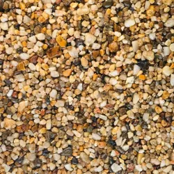 Autumn Dune